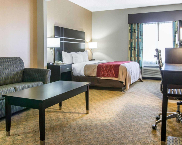 Las mejores ofertas de Comfort Inn & Suites Maumee - Toledo (I80-90) Maumee 