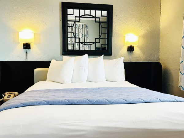 Las mejores ofertas de Ponce De Leon Hotel St Petersburg