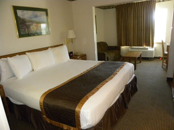 Las mejores ofertas de New Victorian Suites Lincoln