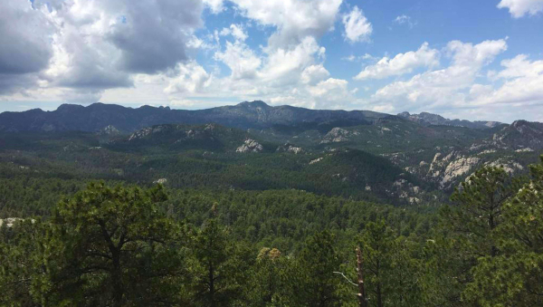 Las mejores ofertas de Magnuson Grand Rushmore View Keystone