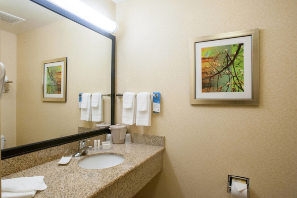 Las mejores ofertas de Fairfield Inn & Suites by Marriott Clovis Clovis
