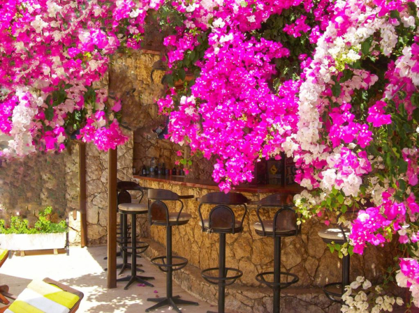 Las mejores ofertas de Sevgi Hotel Kalkan