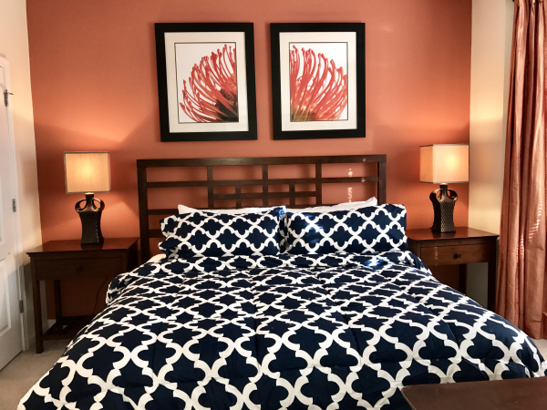 Las mejores ofertas de Cane Island Celebration 