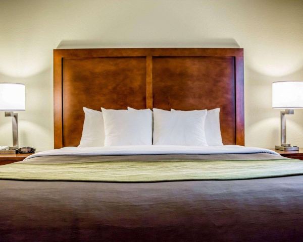 Las mejores ofertas de Comfort Inn Fort Myers Northeast North Fort Myers 