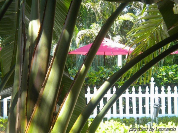 Las mejores ofertas de Casa Grandview Historic Luxury Bed & Breakfast Inn West Palm Beach