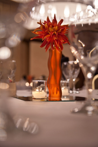 Las mejores ofertas de Hilton Bellevue Zandvoort 