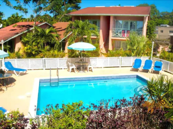 Las mejores ofertas de Halcyon Palm Daejeon