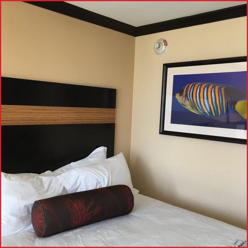 Grand Palms Hotel Spa & Golf Resort