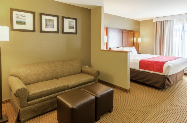 Las mejores ofertas de Comfort Suites Wytheville Area Wytheville