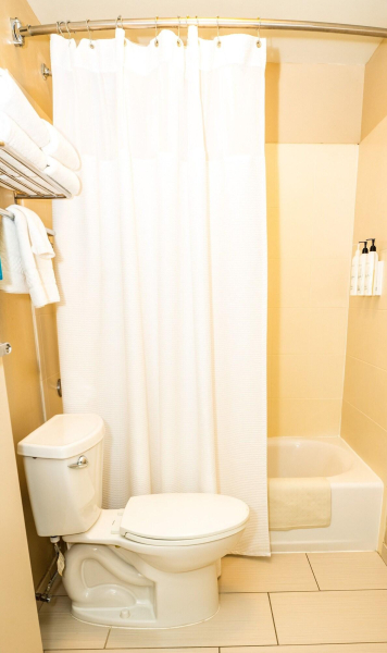 Las mejores ofertas de SpringHill Suites San Antonio Alamo Plaza San Antonio 