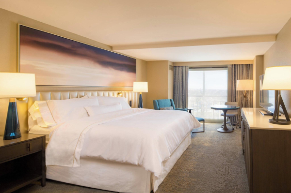 Las mejores ofertas de The Westin Tampa Waterside Tampa