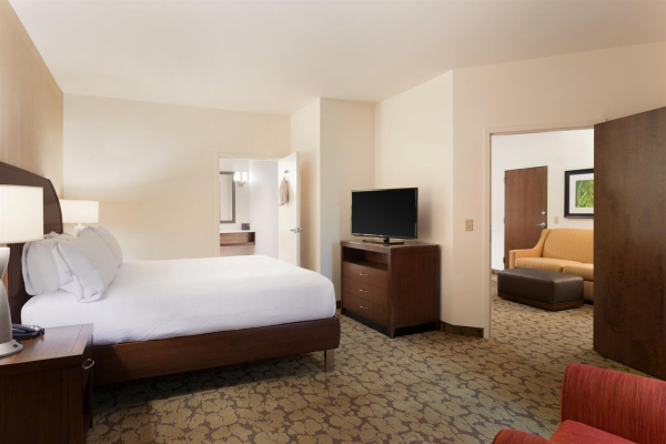 Las mejores ofertas de Hilton Garden Inn Rochester Downtown Rochester