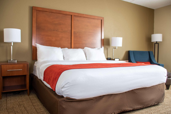 Las mejores ofertas de Comfort Inn Dickson Dickson