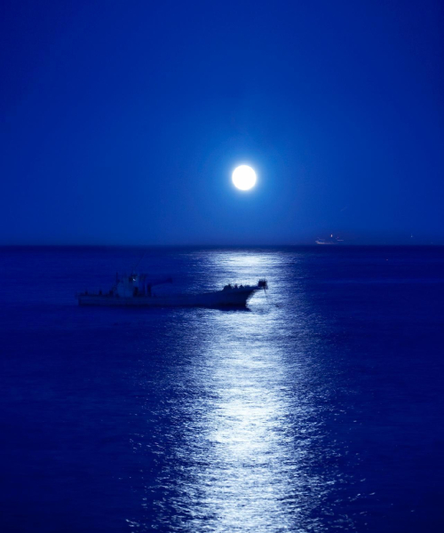 Las mejores ofertas de Hokkawa Onsen Hotel Shizuoka 