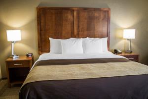 Las mejores ofertas de COMFORT INN Dover