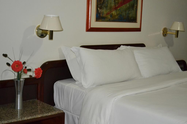 Las mejores ofertas de Dimas Lessa Hotel Montes Claros