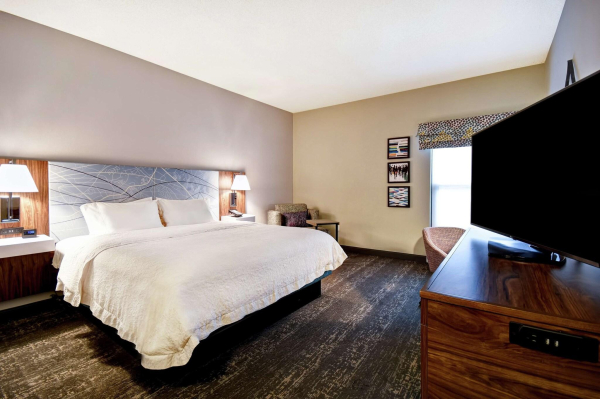 Las mejores ofertas de Hampton Inn Atlanta-Mall Of Georgia Buford 