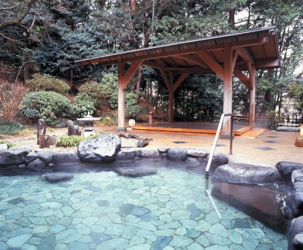 Las mejores ofertas de Yumoto Fujiya Hotel Hakone