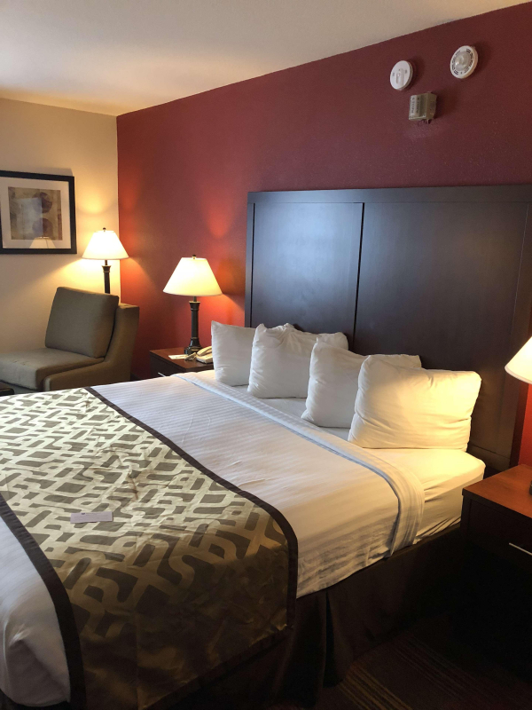 Best Western Dallas Inn & Suites