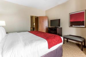 Comfort Suites South Atlanta Area