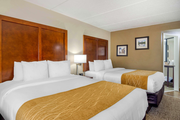 Las mejores ofertas de Comfort Inn Atlanta Airport Atlanta