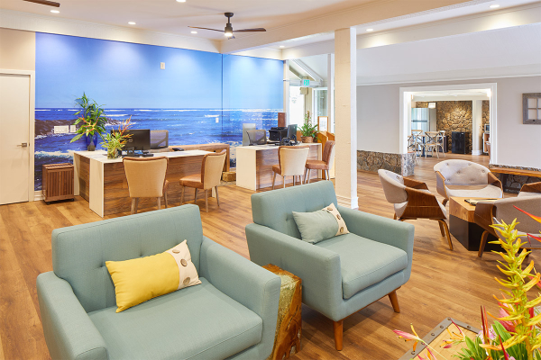 Las mejores ofertas de The ISO Kapaa