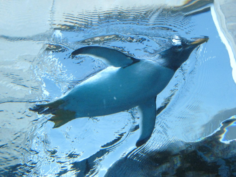 Las mejores ofertas de Hotel Crescent Asahikawa Asahikawa