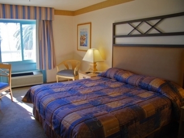 Las mejores ofertas de OCEAN VIEW Santa Monica