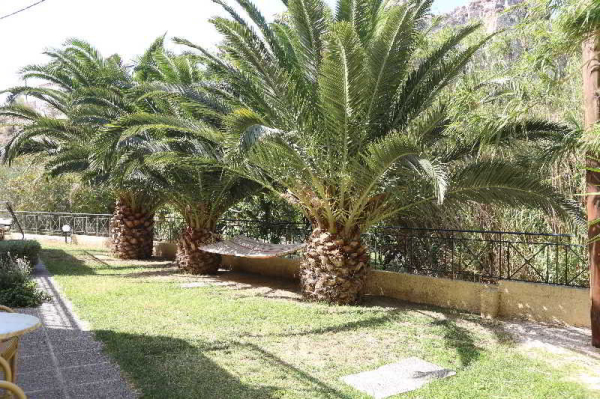 Las mejores ofertas de Coral Lesvos