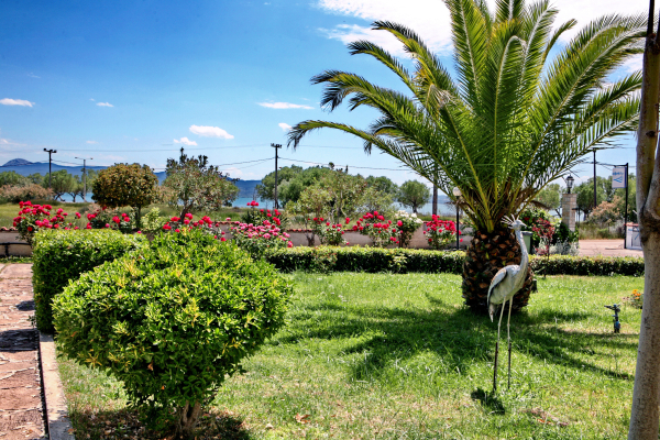Las mejores ofertas de Kalloni bay Lesvos