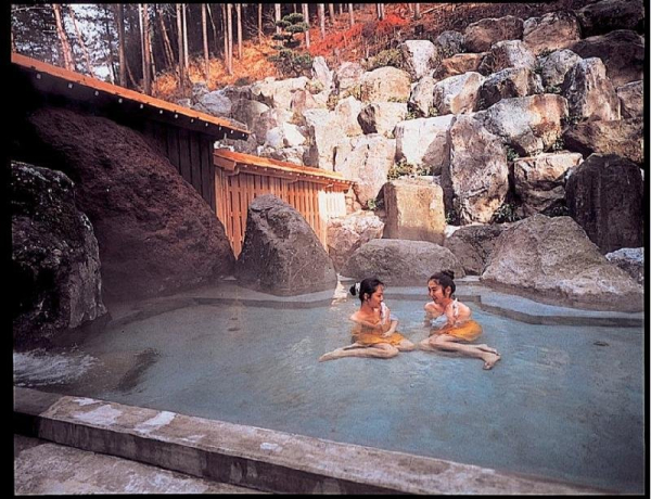 Las mejores ofertas de Okuhida Yakushi No Yu Honjin Gifu 