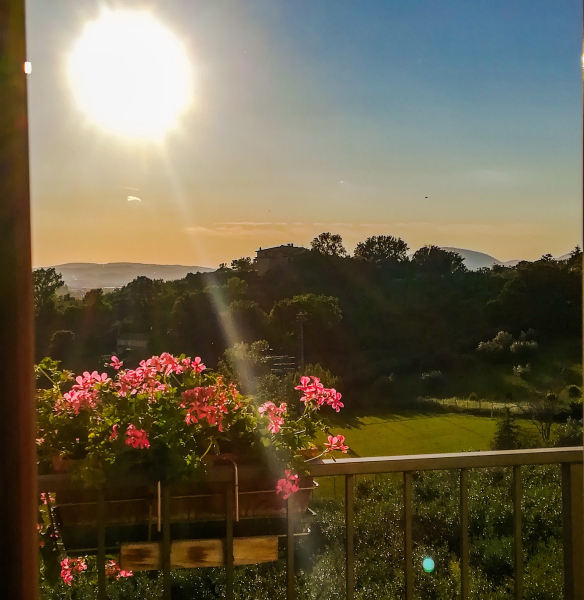 Las mejores ofertas de Viole Country Hotel Assisi