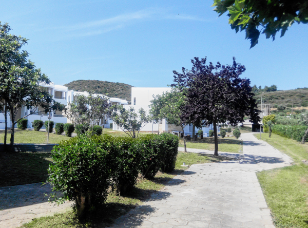 Las mejores ofertas de Skion Palace Kassandria