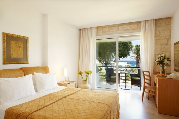 Las mejores ofertas de Afitis Kassandria 