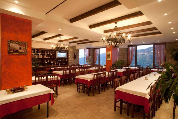 Las mejores ofertas de Pindos Palace Grevena 