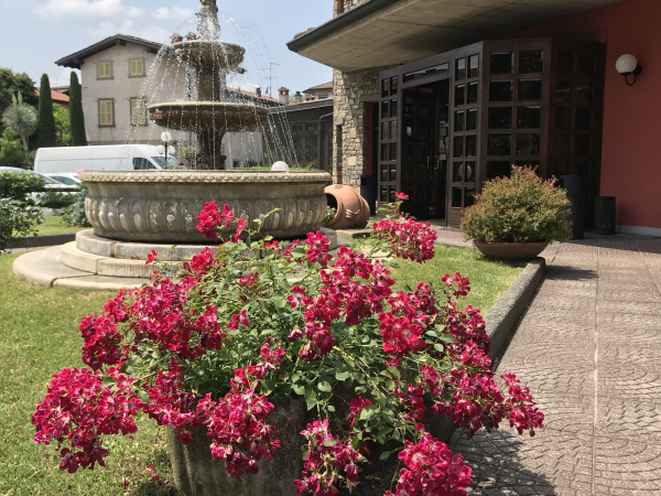 Las mejores ofertas de Il Leone D'Oro Bergamo