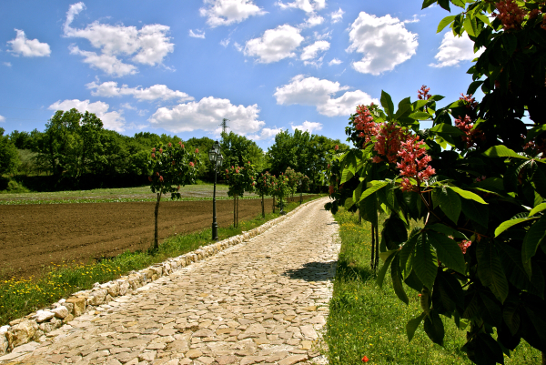 Las mejores ofertas de La Pampa Relais Benevento