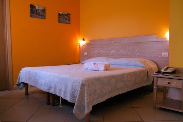 Las mejores ofertas de Bonsai San Teodoro 