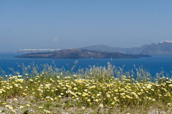 Las mejores ofertas de Earino Suites and Villas Santorini