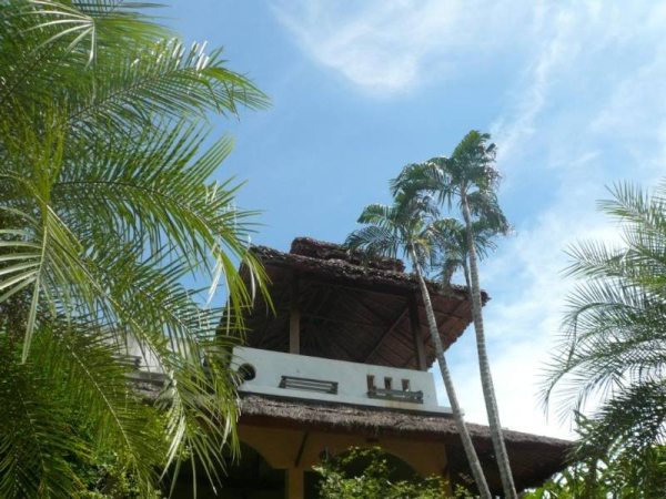 Las mejores ofertas de Gims Resort Mae Hong Son 