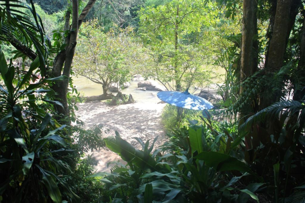 Las mejores ofertas de Rain Forest Resort Phitsanulok Phitsanulok 