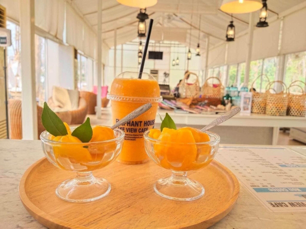 Las mejores ofertas de Sappraiwan Elephant Resort & Sanctuary Phitsanulok 