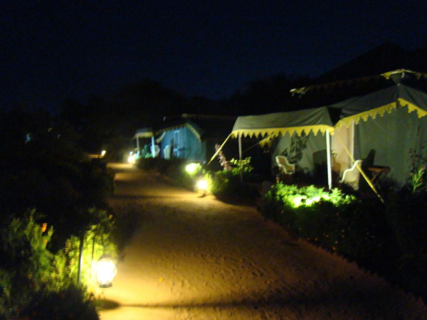 Las mejores ofertas de Orchard Ajmer 