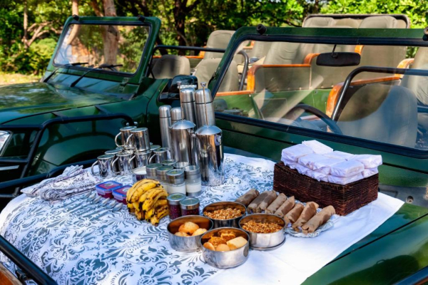 Las mejores ofertas de Mahua Kothi A Taj Safari Bandhavgarh National Park BANDHAVGARH