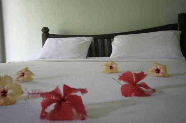 Las mejores ofertas de Lamai Inn 99 Koh Samui