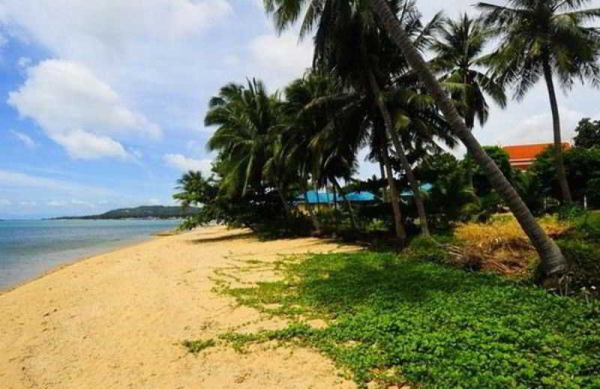 Las mejores ofertas de Sarocha Villa Samui Koh Samui
