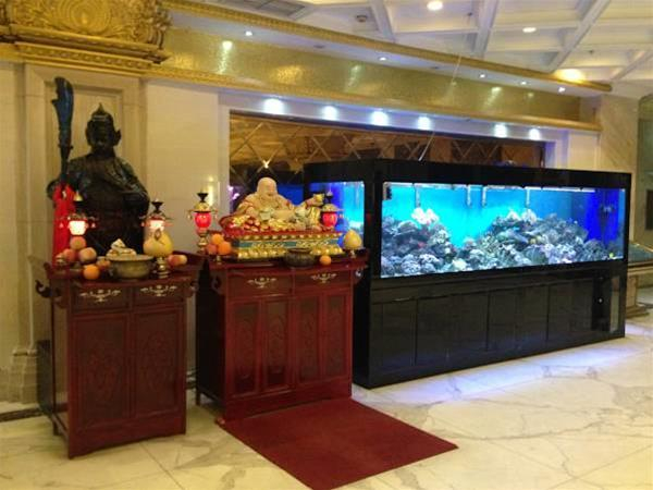 Las mejores ofertas de Sapphire Dalian 