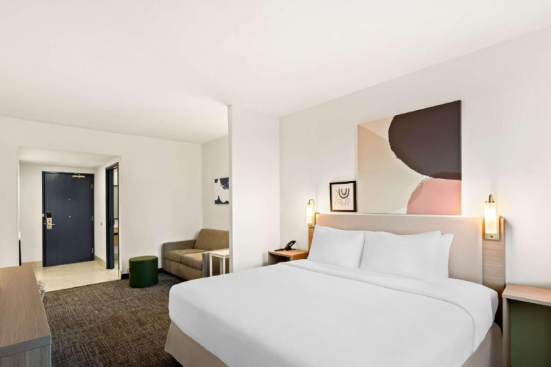 Spark by Hilton Williams