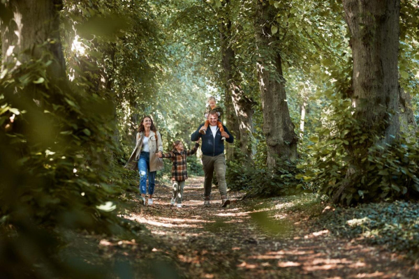 Las mejores ofertas de Van der Valk Landhotel Spornitz Schwerin