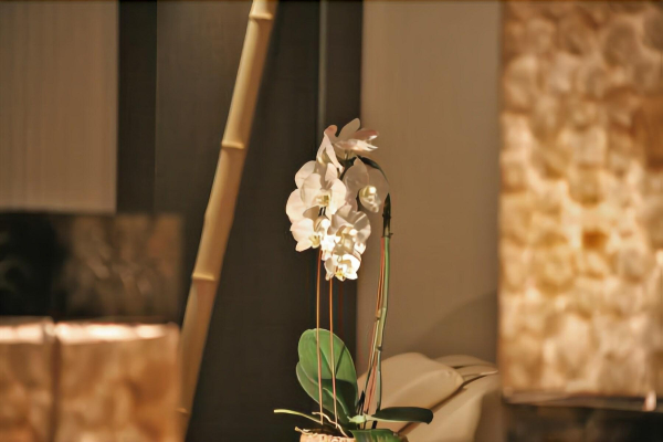 Las mejores ofertas de Waldecker Hof Gottingen